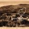 "Chalet TOURELLE "THORENC