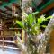 RiverHill Hideaway