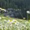 Apartment MOUNTAIN BLOOM Golte