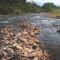 THE RIVER RUNS CHIANG KLANG - Csiangklang