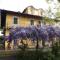 Villa Mirano Bed & Breakfast