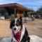 12 Fires Luxury Glamping with Heating #2