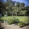 Healdsburg Homestead - 希尔兹堡