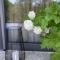 B&B Plitvice Area Natura1
