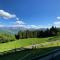 Appartmens am Attersee Dachsteinblick - Nussdorf am Attersee