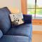 The Torch Lake Bed and Breakfast