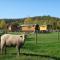 Natur-Resort Tripsdrill