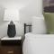 King Beds and Memory Foam Sleeper in Vibrant ATX Apt