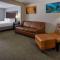 Wingate by Wyndham Atlanta Galleria/ Ballpark - Atlanta