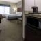 Wingate by Wyndham Atlanta Galleria/ Ballpark - Atlanta