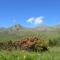 Feldererhof Apt Dolomitenblick