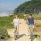 Royal Villa - Ocean View - Heated Pools - SEASCAPES BEST 1 BEDROOM - 3 BEDS - End Unit