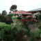 Admurraya House Bed & Breakfast - Rutherglen