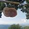 Glamping Orosierra