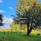 Sybs Farm Shepherds Hut - Fernhurst