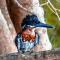 Pelican's Nest Holiday Home St Lucia