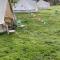Willow glamping