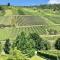 Weinlofts an der Mosel mit E10 Ladestation