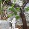Villa Bella Vista - near the Beach and AirPort