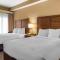 Comfort Inn & Suites at Stone Mountain - Stone Mountain