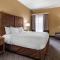 Comfort Inn & Suites at Stone Mountain