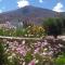 La Casita de la Abuela Huacalera - Quebrada de Humahuaca - Huacalera