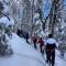 Chalets Alpins- 19 Chemin Alpin