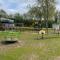 Chalet Linée in bosrijke omgeving Anloo