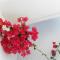 Aggela Guesthouse