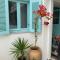 Spata Lykourgos Homes