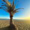 Apartment 4 guests with access to the beachFréjus - Fréjus