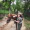 Guest house Lailashi