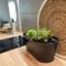 Balaton Breeze Apartman