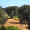 Masseria Pittore