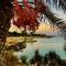 Zoe's villa by Turtle Bay