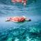 Zoe's villa by Turtle Bay