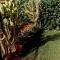 Buganvillea Cottage: un nido a 200 mt. dal mare