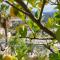Vakantiewoning CasaLucka4enjoy private pool and mountain view regio Calpe-Jalon - 哈隆