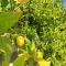 Vakantiewoning CasaLucka4enjoy private pool and mountain view regio Calpe-Jalon - 哈隆