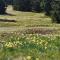 Appartement Chamrousse