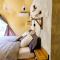 Nomad Glamping