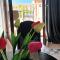 Olivista Croatia Apartments