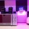 VICE CITY Hostel VICE CITY Hostel
