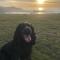 Pentire Coastal Holiday Park