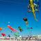 Gite Rural Le Bois Roger