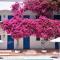 Boutique Hotel Tilos Mare