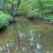 Family Friendly Cabin On A Creek With Large Yard - Блу-Ридж