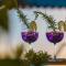 Spacious holiday house in Istria