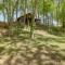 Roomy Riverfront Trout Valley Cabin with Porch!