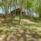 Roomy Riverfront Trout Valley Cabin with Porch! - Mountain View